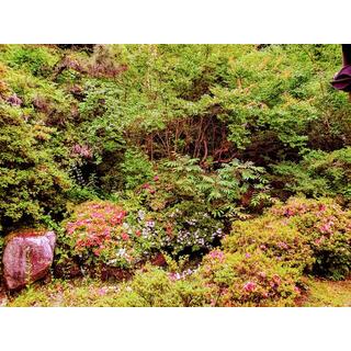 detached 築上郡築上町大字小原