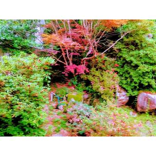 detached 築上郡築上町大字小原