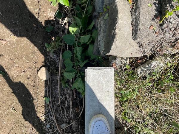 detached 大字皆野