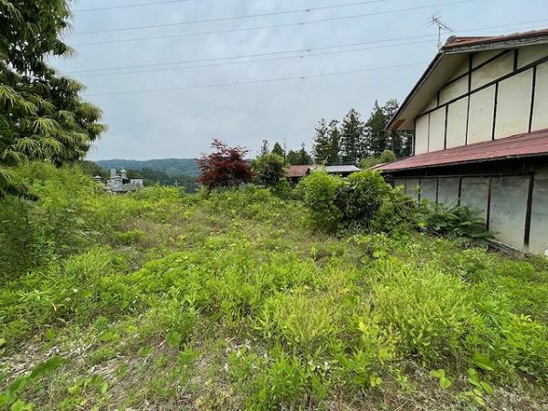 detached 荒川上田野