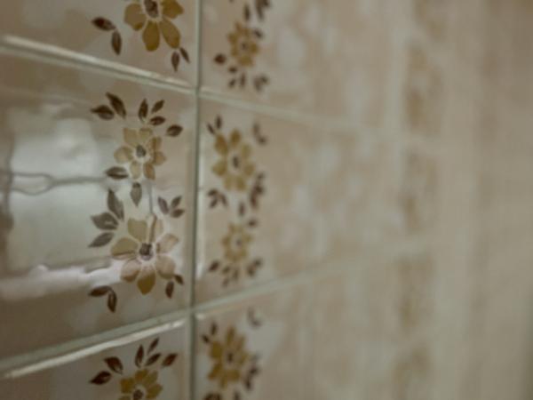 detached 大口下殿