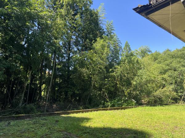 detached 大口下殿