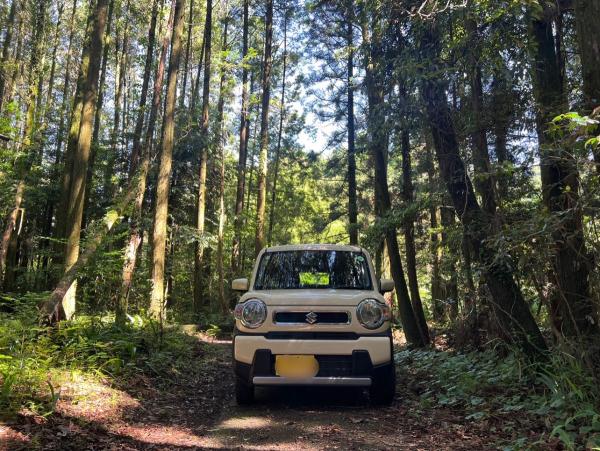 detached 大口下殿