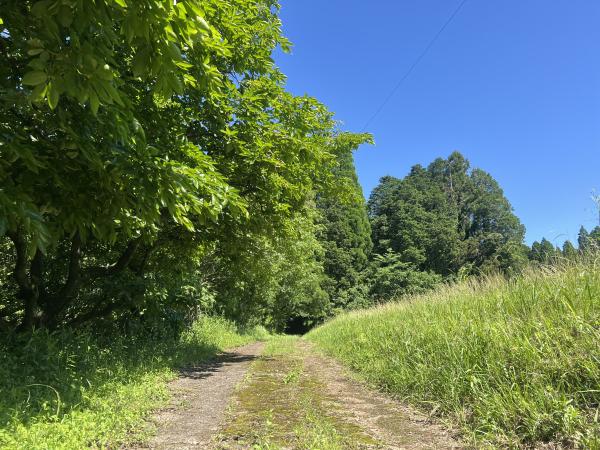 detached 大口下殿