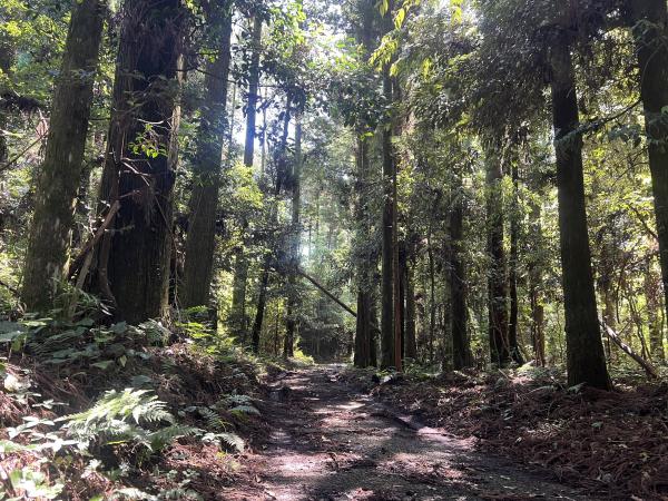 detached 大口下殿