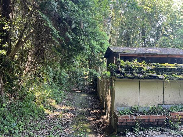 detached 大口下殿