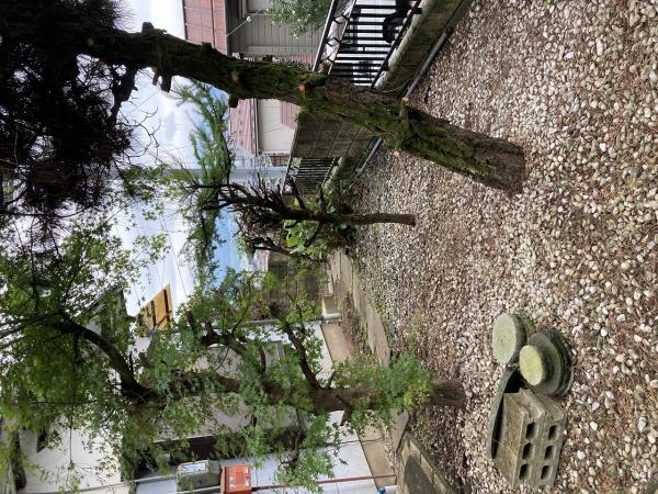 detached 諏訪市大和３丁目24-2