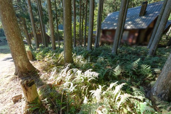  吉野郡東吉野村平野