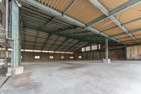 commercial 大字浅古