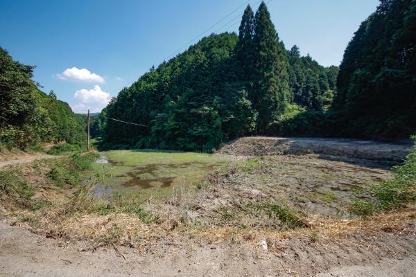 commercial 奈良市丹生町