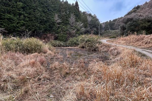 commercial 奈良市丹生町