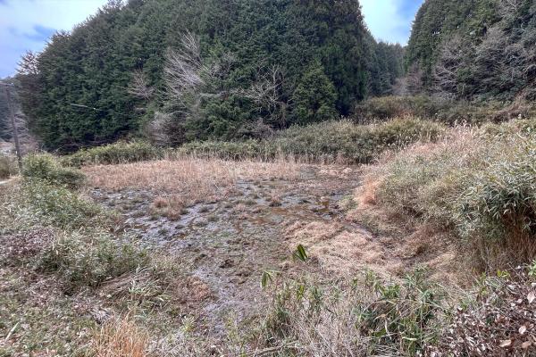 commercial 奈良市丹生町