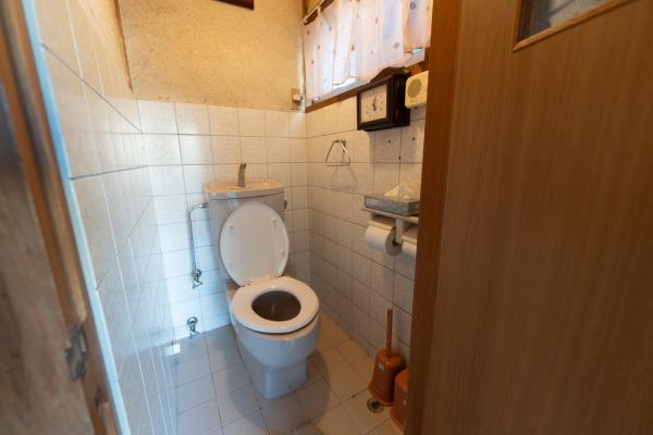 detached 大宇陀拾生