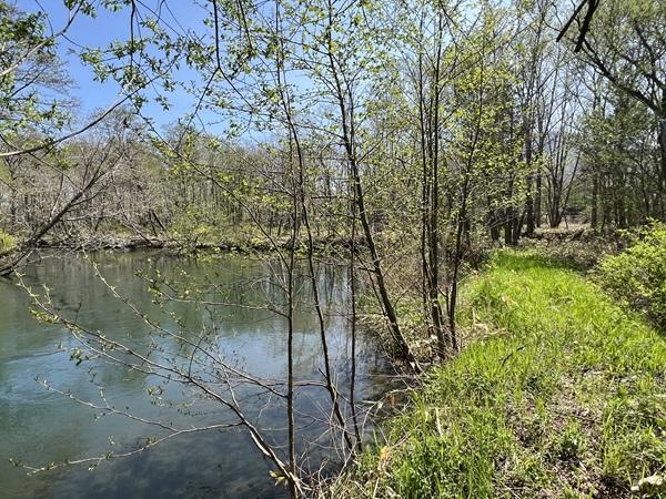 北海道川上郡弟子屈町札友内