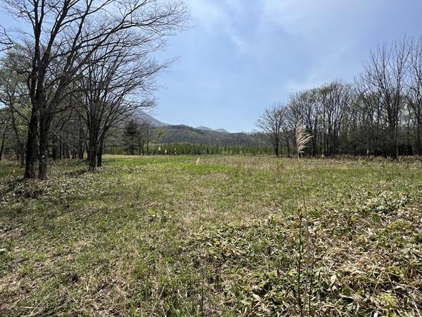 北海道川上郡弟子屈町札友内