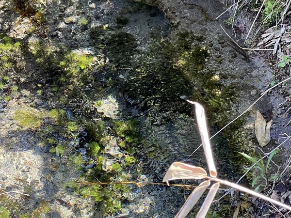 北海道川上郡弟子屈町札友内