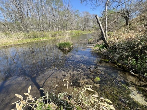北海道川上郡弟子屈町札友内
