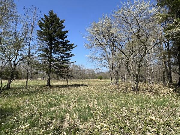 北海道川上郡弟子屈町札友内