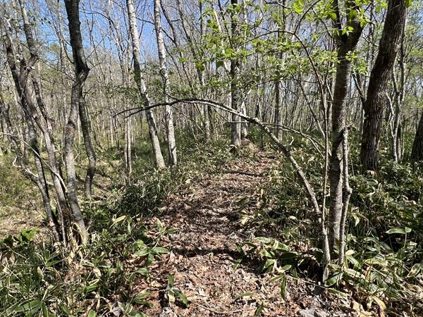 北海道川上郡弟子屈町札友内