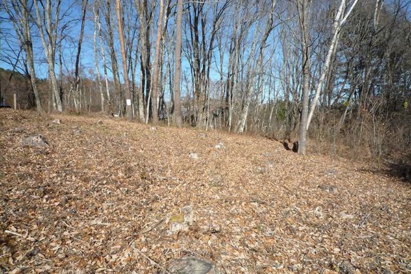  富士見（若宮高原別荘地）