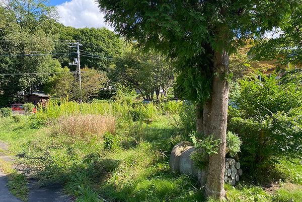 北海道標茶町塘路