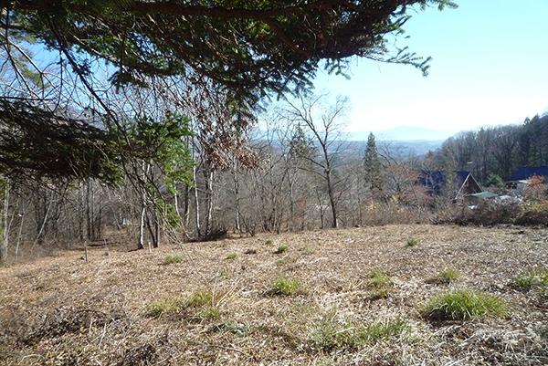  若宮高原別荘地（若宮高原の奥）