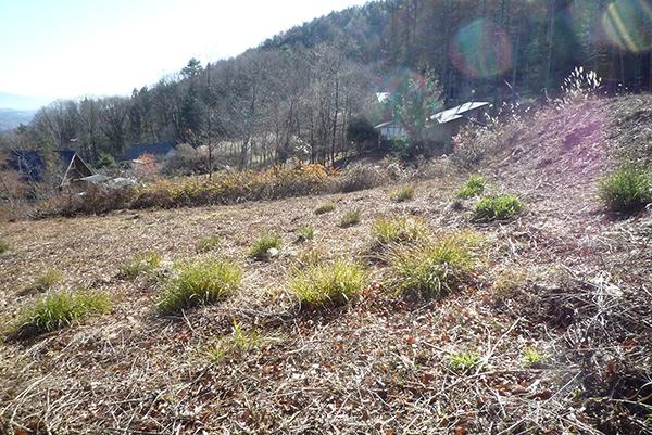  若宮高原別荘地（若宮高原の奥）