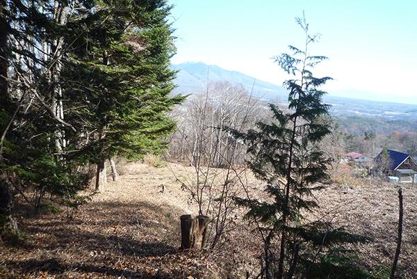 若宮高原別荘地(若宮高原の奥)