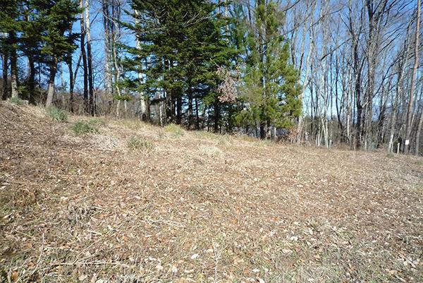  若宮高原別荘地（若宮高原の奥）