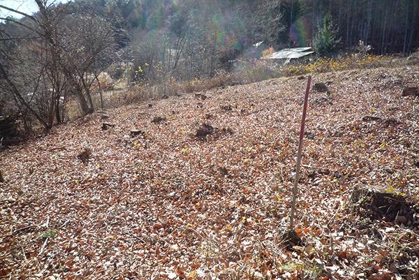 若宮高原別荘地(若宮高原の奥)