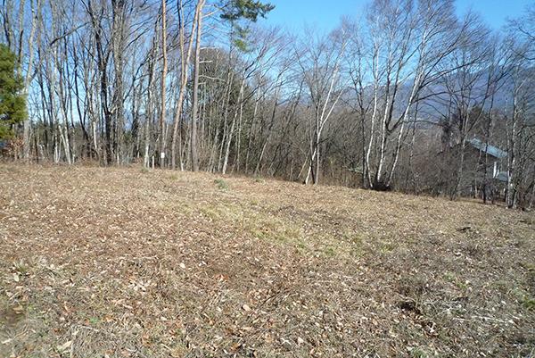  若宮高原別荘地（若宮高原の奥）