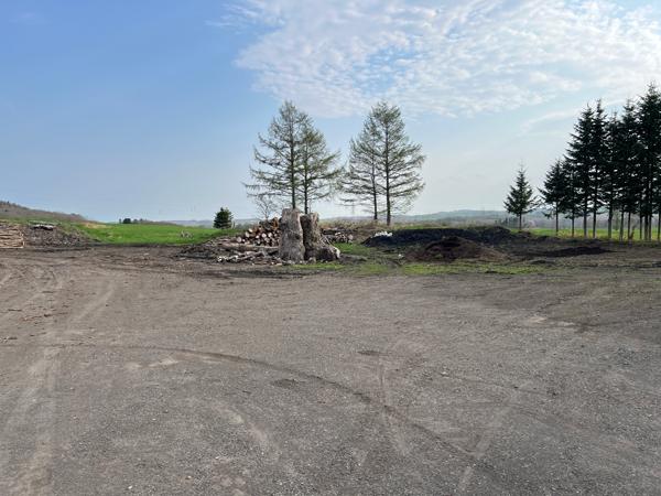 detached 字弟子屈