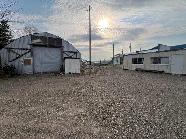 detached 字弟子屈