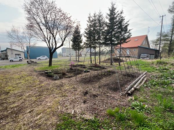 detached 字弟子屈