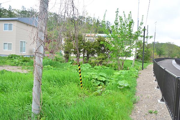北海道弟子屈町湯の島一丁目
