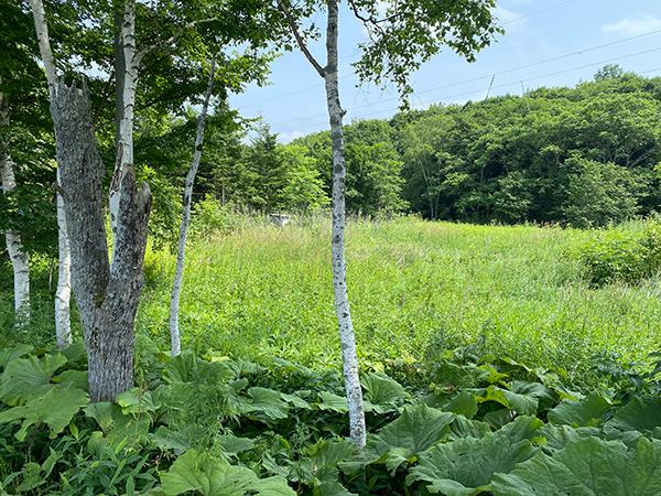 北海道弟子屈町桜丘二丁目