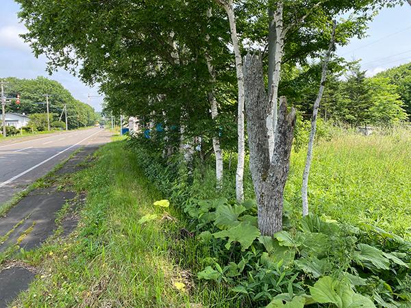 北海道弟子屈町桜丘二丁目