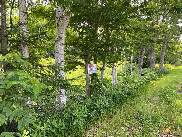 北海道弟子屈町桜丘二丁目
