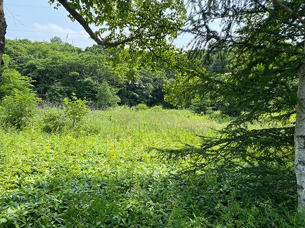 北海道弟子屈町桜丘二丁目
