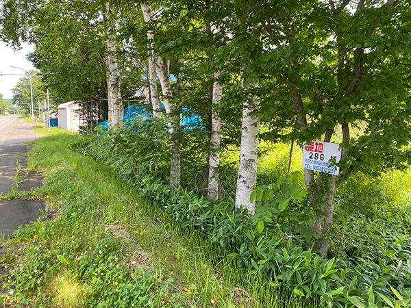 北海道弟子屈町桜丘二丁目