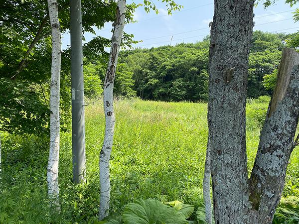 北海道弟子屈町桜丘二丁目