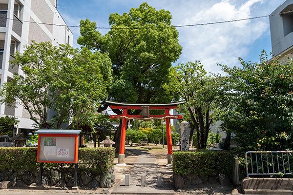 detached 桂木ノ下町