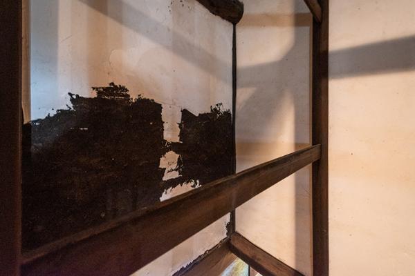 detached 岩倉忠在地町