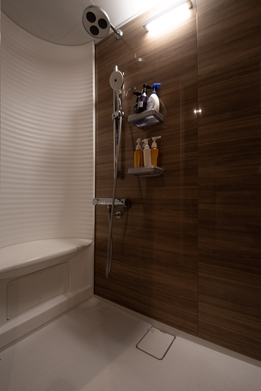 detached 岩倉忠在地町