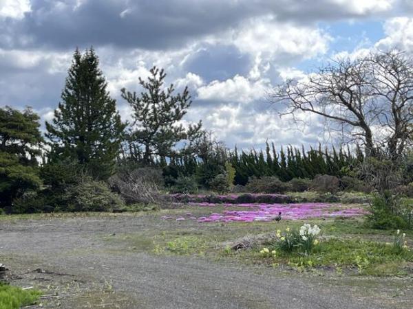 detached 秋田県潟上市飯田川飯塚字樋ノ下 地図を見る