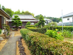 detached 左右山