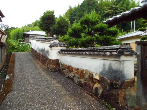 detached 左右山