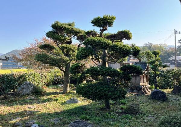 detached 福井県三方上中郡若狭町三宅