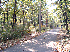  栃木県那須塩原市西岩崎字大輪地