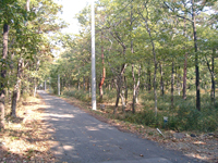  栃木県那須塩原市西岩崎字大輪地